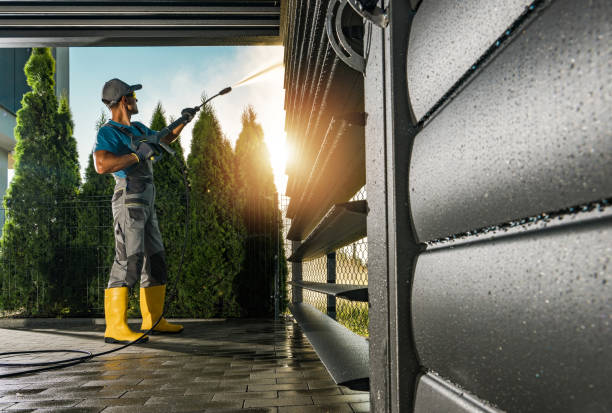Animal Enclosure Cleaning in East Tawas, MI